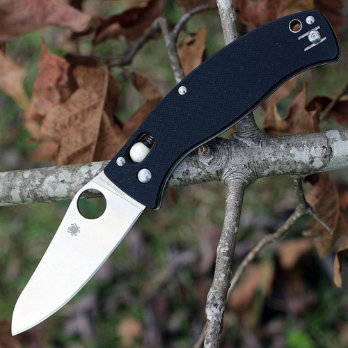 Складной нож Spyderco D'Allara 3 - 82GP3 фото 7 Складной нож Spyderco D'Allara 3 - 82GP3 фото 7